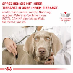 ROYAL CANIN® Veterinary HYPOALLERGENIC Mousse Für Hunde 12x400g 9 ROYAL CANIN® Veterinary HYPOALLERGENIC Mousse Für Hunde 12x400g -Haustierzubehör Verkäufe 2024 0c4b7bb0d762f04e8d2bdf9f92f355f0 9003579311004 89 7