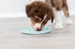 TRIXIE Junior Lick’n'Snack Schleckplatte 15cm -Haustierzubehör Verkäufe 2024 2eedc12e3524afb63238ccb9413d90c1 trixie licknsnack3