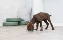 TRIXIE Junior Lick’n'Snack Schleckplatte 15cm -Haustierzubehör Verkäufe 2024 2eedc12e3524afb63238ccb9413d90c1 trixie licknsnack4