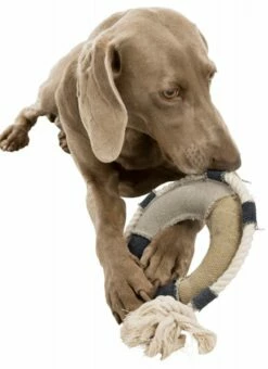 TRIXIE Be Nordic Hundespielzeug Rettungsring 29cm -Haustierzubehör Verkäufe 2024 4eb69ea03decbd104c89b2b52c29e4da trixie rettungsring2