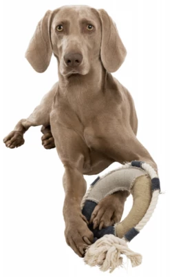 TRIXIE Be Nordic Hundespielzeug Rettungsring 29cm -Haustierzubehör Verkäufe 2024 4eb69ea03decbd104c89b2b52c29e4da trixie rettungsring5