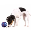 TRIXIE Hundespielzeug Snack Ball 14cm 2 TRIXIE Hundespielzeug Snack Ball 14cm -Haustierzubehör Verkäufe 2024 5e0ccbc922cb8fc59390273033e9f433 ballbl1