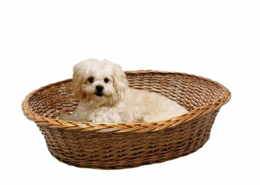 SILVIO DESIGN Ruhekorb Mit Kissen Gr.S 52x42x14cm -Haustierzubehör Verkäufe 2024 5fa1703ddc1f008c0037d1cf9a8b98a6 14100.101