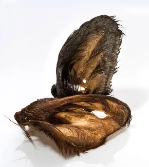 PURE INSTINCT Wild Nature Hundesnack 100% Rinderohren Mit Fell 3 Stück 4 PURE INSTINCT Wild Nature Hundesnack 100% Rinderohren Mit Fell 3 Stück – Bild 2