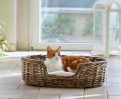 SILVIO DESIGN Heimtierbett Strolchi Gr. S 62x43x18cm -Haustierzubehör Verkäufe 2024 7cpf087909430b3c4b41e6218eda9127 21855.000 3