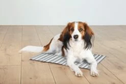 TRIXIE Kühlmatte 50x40cm Weiß Grau 7 TRIXIE Kühlmatte 50x40cm Weiß Grau -Haustierzubehör Verkäufe 2024 a48fa50d03471596bf7381354e6a9a81 trixie kuehlmatte m weissgrau 2