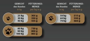 PURE INSTINCT Leafy Grove Adult Maxi 4 Kg Mit Truthahn & Ente 4 PURE INSTINCT Leafy Grove Adult Maxi 4 Kg Mit Truthahn & Ente – Bild 2