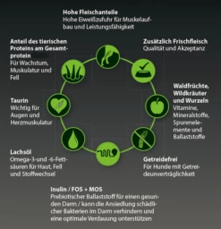 PURE INSTINCT Sunny Woods 6x400g Dose Mit Wildschwein -Haustierzubehör Verkäufe 2024 bcda759bcacfc5024a046d7a30ed54ec neue sorten pure instinct inhaltsstoffe zoo und co 31