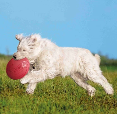 TRIXIE Hundespielzeug Dog Disc ø18cm 4 TRIXIE Hundespielzeug Dog Disc ø18cm – Bild 2