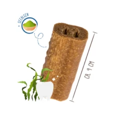 Bosch Sammy's Zahnfee 60g -Haustierzubehör Verkäufe 2024 dentalstickzahnfee1