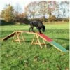 TRIXIE Dog Activity Agility Steg 456x64x30cm 1 TRIXIE Dog Activity Agility Steg 456x64x30cm -Haustierzubehör Verkäufe 2024 e4df213cde1c0c2e77e6da14ef5585d6 trixie agility steg