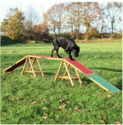 TRIXIE Dog Activity Agility Steg 456x64x30cm