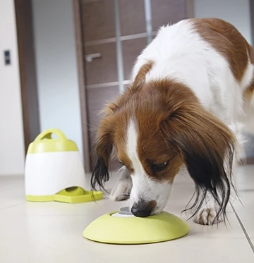 TRIXIE Dog Activity Memory Trainer Strategiespiel 4 TRIXIE Dog Activity Memory Trainer Strategiespiel – Bild 2