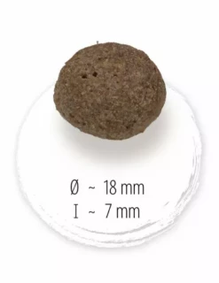 HAPPY DOG NaturCroq Lachs Und Reis 11kg -Haustierzubehör Verkäufe 2024 happydoglachsreis2